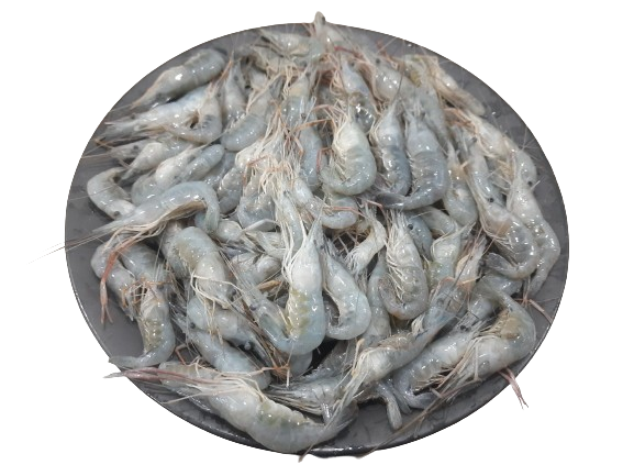 River Katali Prawn Whole (নদীর গোধা চিংড়ি/কাঠালি চিংড়ি)