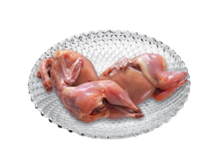 baby chicken(দেশি মুরগির বাচ্চা)