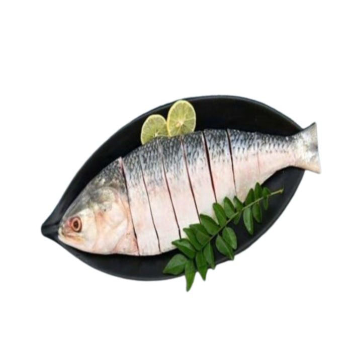 Hilsha Fish Whole